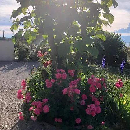 Le Carnotzet Du - Hauts D'evian * Larringes