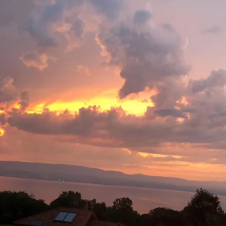 Le Carnotzet Du - Hauts D'evian Larringes