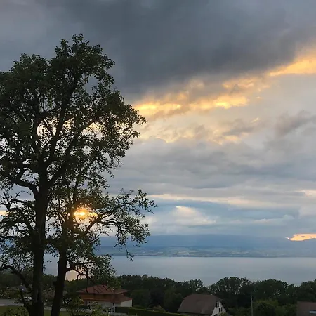 Holiday home Le Carnotzet Du - Hauts D'evian