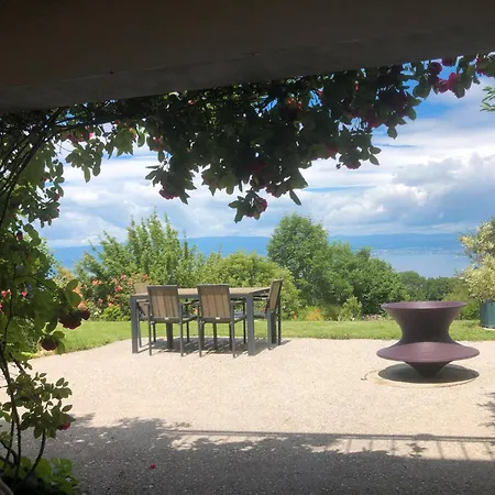 Le Carnotzet Du - Hauts D'evian Larringes