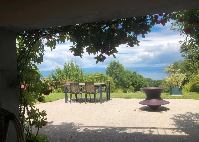 Le Carnotzet Du - Hauts D'evian Larringes