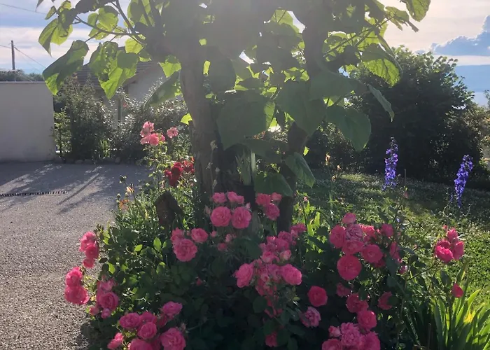 Le Carnotzet Du - Hauts D'evian * Larringes