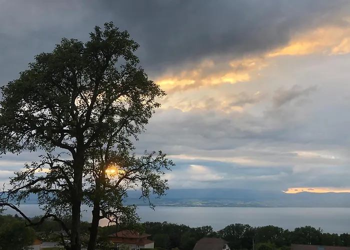 Prázdninový dům Le Carnotzet Du - Hauts D'evian